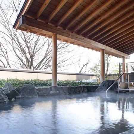 Iizaka Onsen Surikamitei Ohtori