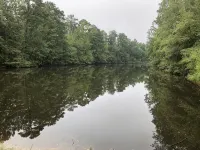 Prospect Mountain Cabin custom log home sportsman's paradise with fishing lake. - con encanto