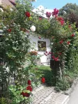 Bright apartment "In the Green" for 6-8 people near Lake Constance - 2-Star
