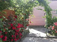 Ani Mini-Otel - 2-Star