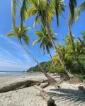 Makanda by the Sea Hotel Adults Only - Beach