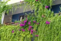SHALA BOUTIQUE HOIAN Hotels in Cam An