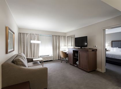 Hampton Inn & Suites Dallas-DFW Airport N/Grapevine