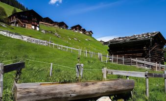 Pension Gimmelwald