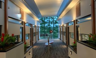 a long , narrow hallway with wooden floors and white walls , featuring potted plants on both sides at Room Motels Gympie