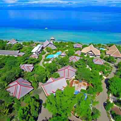 Dolphin House Resort Moalboal Hotel Exterior