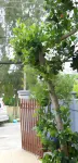 Lucky 190 Hotels in Vinh Nguon