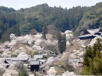 Kanko Ryokan Yamatoya