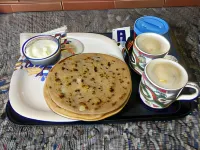 Negi Lodge Chandigarh  호텔