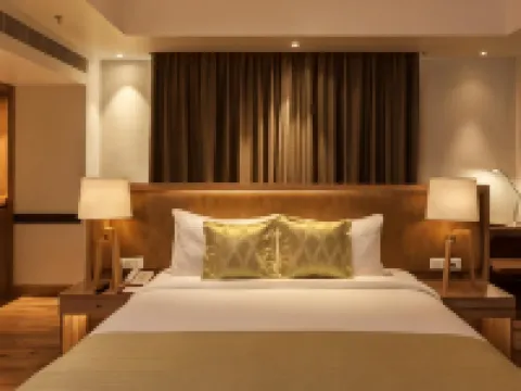 レモン ツリー プレミア パトナー パトナのホテル