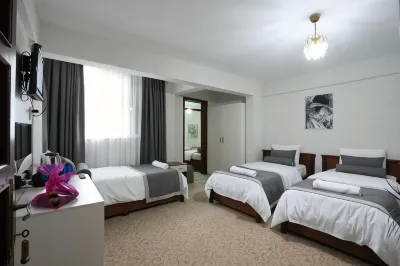 OzenTurku Hotel Hotels in 