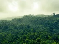 Ruhija Gorilla Guest house Hotels in Rubanda