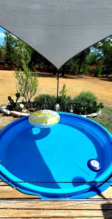 Remodeled Modern Farmhouse on acreage near ALL area attractions!!!