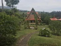 Hotel Chalets Los Volcanes - Mountain view