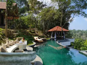 Earthitects Holiday Experiences,Wayanad