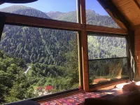 Ayder Dağ Evi Hotels in Yukarışimşirli