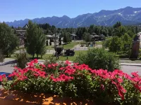 公園廣場山林小屋 - 山景