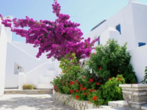 Adonis Hotel Studios & Apartments Hotels in Naoussa