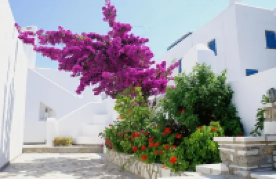 Adonis Hotel Studios & Apartments