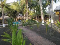 Hotel Pez de Oro Hotels in 