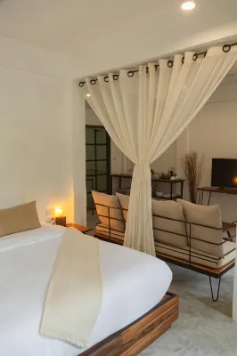 Big Tree Boutique Hotel Hotels in Koh Tao