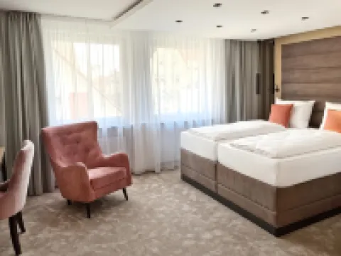 羅伊特林根多梅洛酒店 羅伊特林根酒店