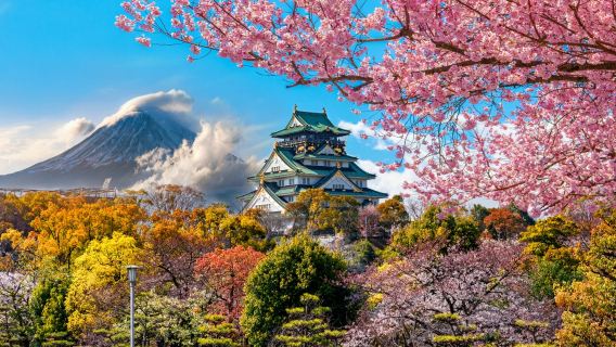 【2026 神戶一日遊】Top10 神戶景點、交通住宿攻略一次看 | Trip.com