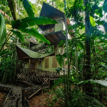 Buru Nature Hotel