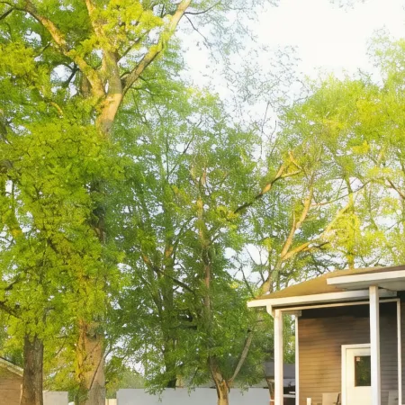 Updated cottage across from Lake Barkley, awesome patio, pets welcome!