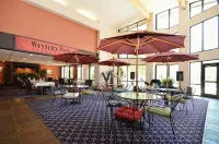 Best Western Plus Inn of Williams Hotels in Williams