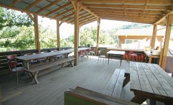 Biggest Tree Pension Yangpyeong