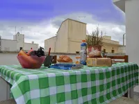 Apartment Directly on the Beach with Air Conditioning and Terrace; Pets Allowed
