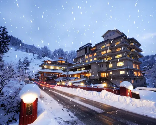 Izumiya Hotels in Nagaoka