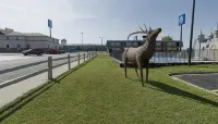 Americas Best Value Inn-Wall