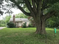Peaceful Pioneer Place on our Family Farm in Mantua - Homestays
