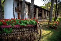 Belvedere Pineta Camping Village Grado - Homestays