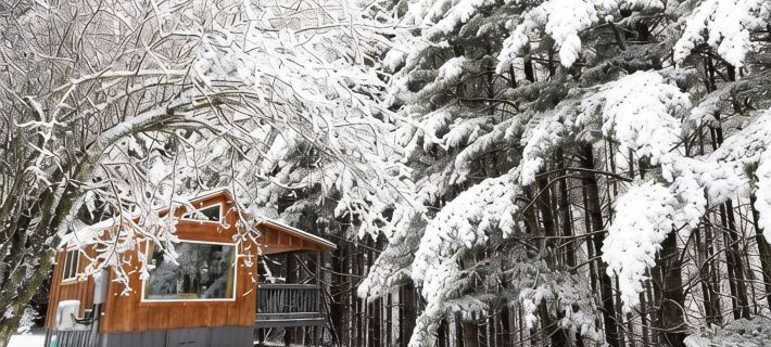 Remote Tiny Cabin & Hiking! Hotels in Randolph County