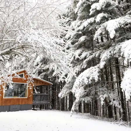 Remote Tiny Cabin & Hiking!