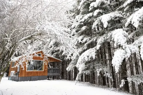 Remote Tiny Cabin & Hiking!