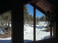 Elktrace Bed and Breakfast - Mountain view