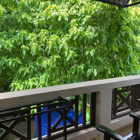 Aumpai Luxury