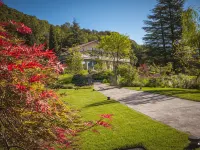 Phi Hotel Piajo Hotel a 