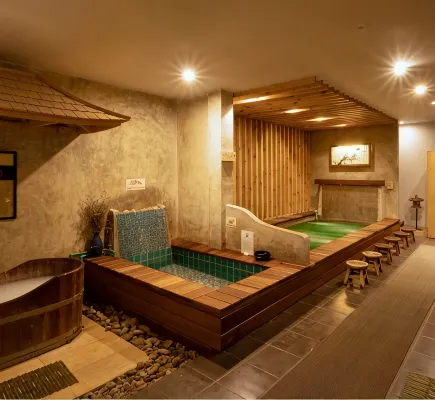 Haikin Ryokan - Hot Springs