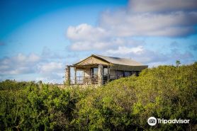 Thali Thali Game Lodge