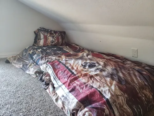 1 private bedroom, sofa sleeper and 2 lofts - Cabin In The Country Woods - 2-Star