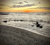 Puako Beach + Sunsets. Feel the Sea Breeze, Hear Calming Surf. Steps to Beach