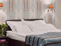 Graf Tolstoy Hotel Hotels in Bryansk