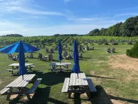 Charming Beach Cottage, Steps to Beach, Enjoy Scenic Vineyards & Farm Stands - Wifi