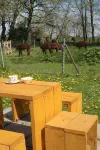 Ferienhof Spiegelhaus Apartment Jantje - Homestays