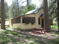 Little Pine Cabin/ 1 bed, 1 Bath